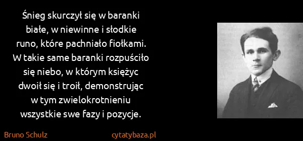 Bruno Schulz: Śnieg skurczył się w baranki białe, w niewinne i słodkie...
