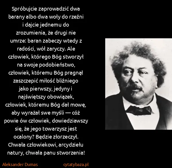 Aleksander Dumas: Spróbujcie zaprowaǳić dwa barany albo dwa woły do rzeźni...