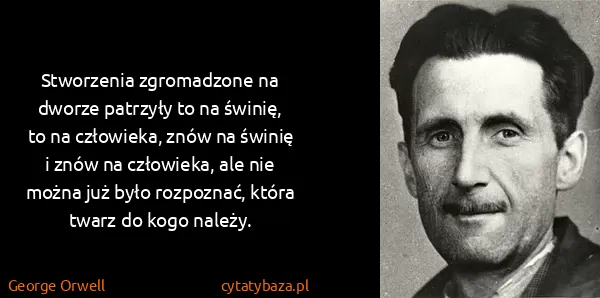 George Orwell: Stworzenia zgromadzone na dworze patrzyły to na świnię,...