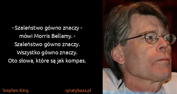 Stephen King: - Szaleństwo gówno znaczy - mówi Morris Bellamy. -...