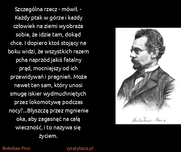 Bolesław Prus: Szczególna rzecz - mówił. - Każdy ptak w górze i każdy...