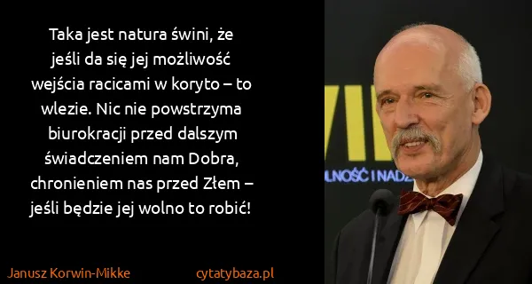Janusz Korwin-Mikke: Taka jest natura świni, że jeśli da się jej możliwość...