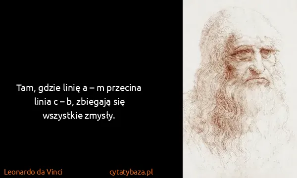 Leonardo da Vinci: Tam, gdzie linię a – m przecina linia c – b, zbiegają...