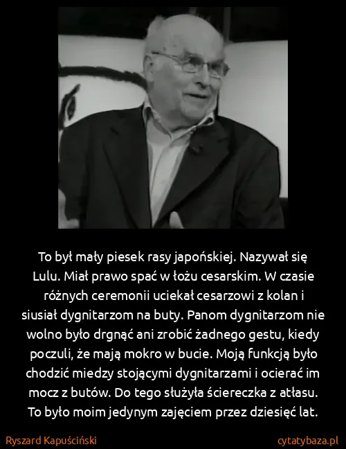 Ryszard Kapuściński: To był mały piesek rasy japońskiej. Nazywał się Lulu....