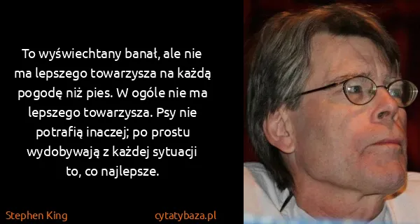 Stephen King: To wyświechtany banał, ale nie ma lepszego towarzysza na...