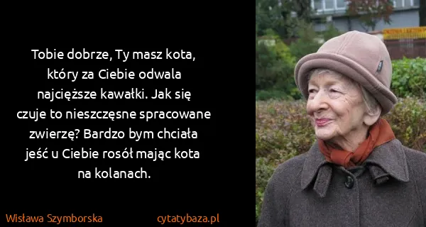 Wisława Szymborska: Tobie dobrze, Ty masz kota, który za Ciebie odwala...