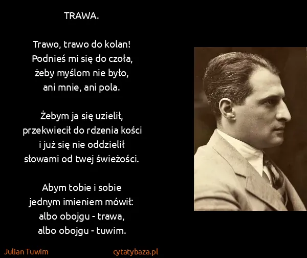 Julian Tuwim: TRAWA. 

Trawo, trawo do kolan!
Podnieś mi się do czoła,...