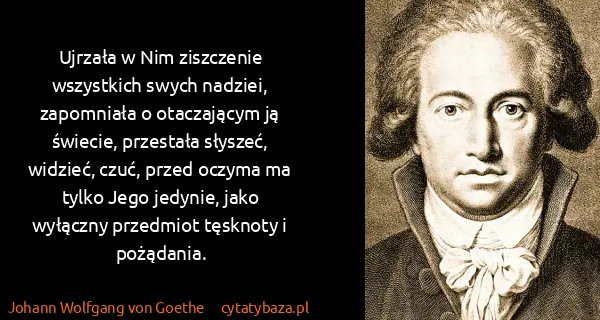 Johann Wolfgang von Goethe: Ujrzała w Nim ziszczenie wszystkich swych nadziei,...