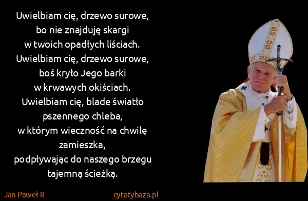Jan Paweł II: Uwielbiam cię, drzewo surowe, bo nie znajduję skargi
w...