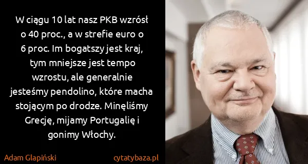 Adam Glapiński: W ciągu 10 lat nasz PKB wzrósł o 40 proc., a w strefie...