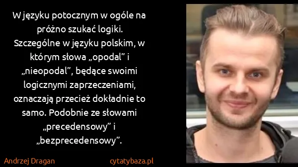 Andrzej Dragan: W języku potocznym w ogóle na próżno szukać logiki....