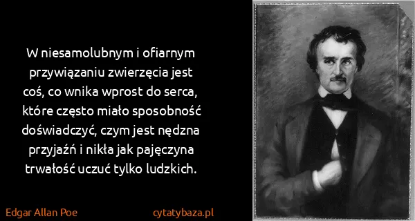 Edgar Allan Poe: W niesamolubnym i ofiarnym przywiązaniu zwierzęcia jest...