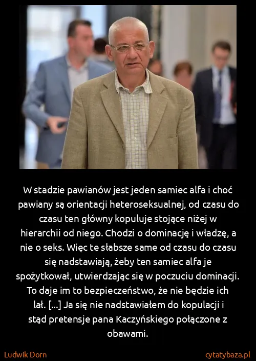 Ludwik Dorn: W stadzie pawianów jest jeden samiec alfa i choć pawiany...
