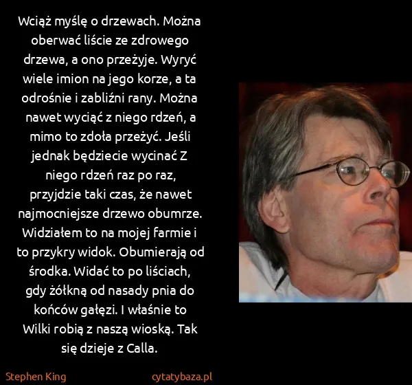 Stephen King: Wciąż myślę o drzewach. Można oberwać liście ze zdrowego...