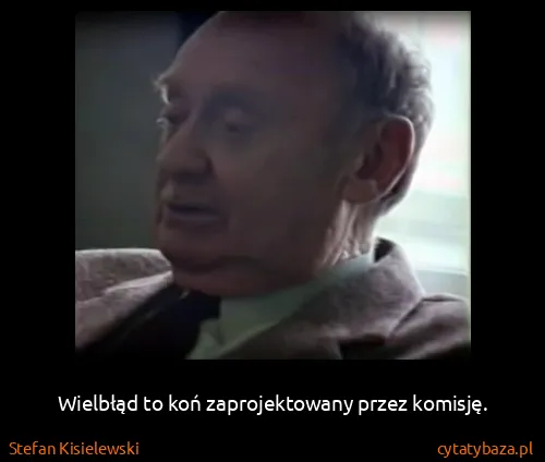 Stefan Kisielewski: Wielbłąd to koń zaprojektowany przez komisję.