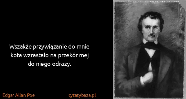 Edgar Allan Poe: Wszakże przywiązanie do mnie kota wzrastało na przekór...
