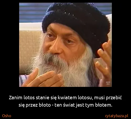 Osho: Zanim lotos stanie się kwiatem lotosu, musi przebić się...