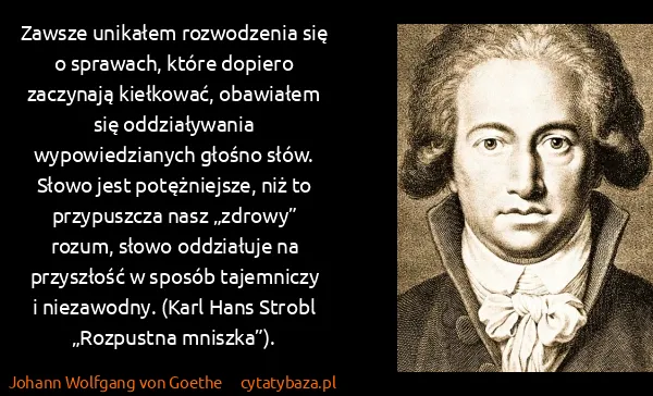 Johann Wolfgang von Goethe: Zawsze unikałem rozwodzenia się o sprawach, które...