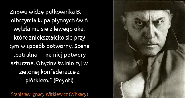 Stanisław Ignacy Witkiewicz (Witkacy): Znowu widzę pułkownika B. — olbrzymia kupa płynnych świń...
