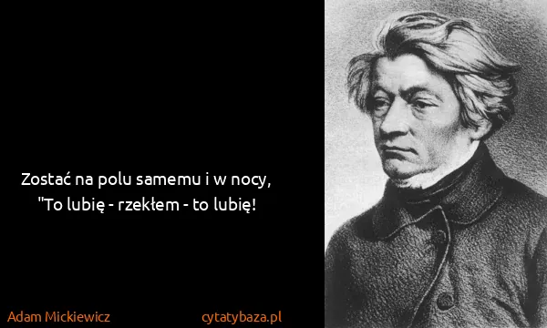 Adam Mickiewicz: Zostać na polu samemu i w nocy,
"To lubię - rzekłem - to...