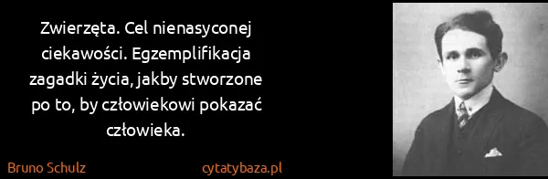 Bruno Schulz: Zwierzęta. Cel nienasyconej ciekawości. Egzemplifikacja...
