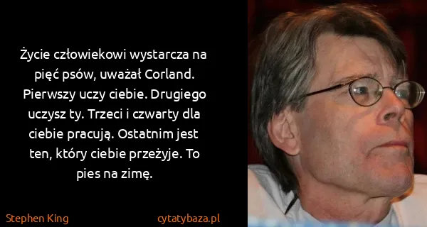 Stephen King: Życie człowiekowi wystarcza na pięć psów, uważał...