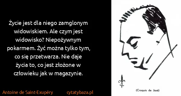 Antoine de Saint-Exupéry: Życie jest dla niego zamglonym widowiskiem. Ale czym...