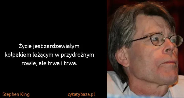 Stephen King: Życie jest zardzewiałym kołpakiem leżącym w przydrożnym...